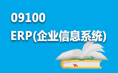 09100ERP(企业信息系统)