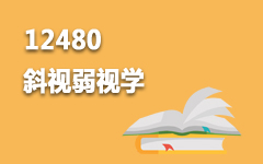 12480斜视弱视学