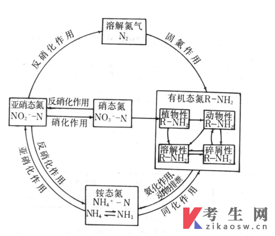 天然水中的氮循环
