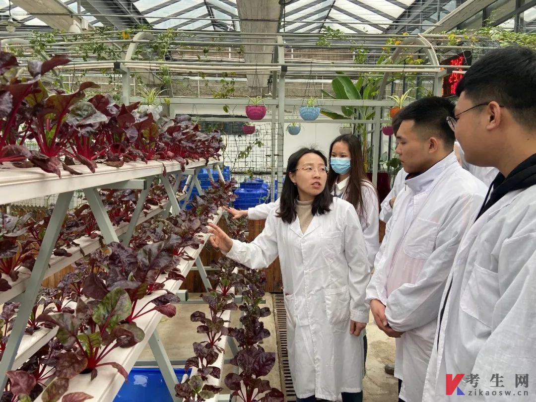 2022年沈阳工学院统招专升本招生计划