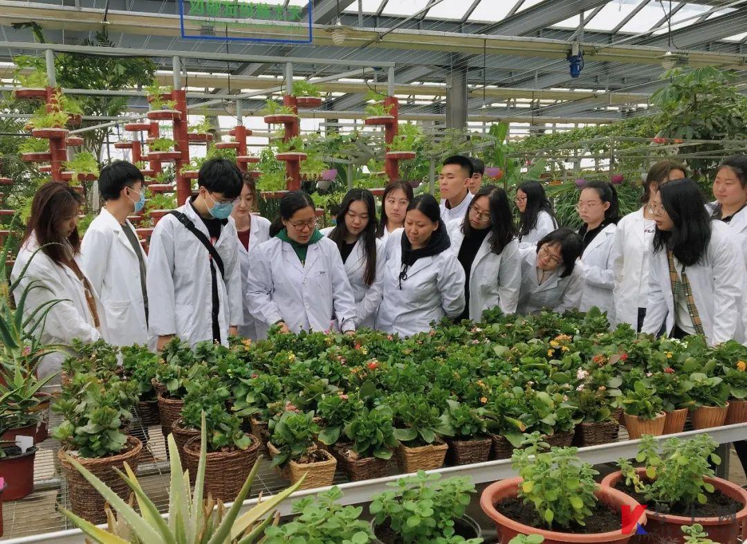 2022年沈阳工学院统招专升本招生计划