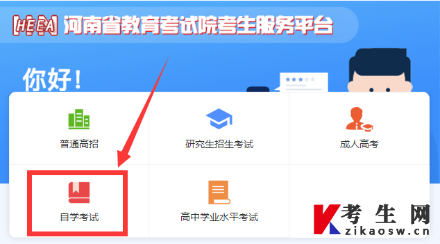 河南省教育考试院考生服务平台