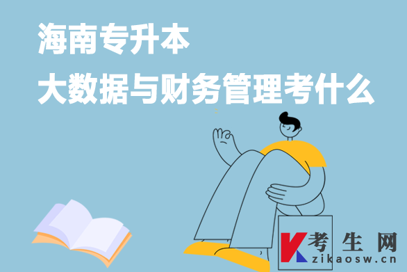 海南专升本大数据与财务管理考什么