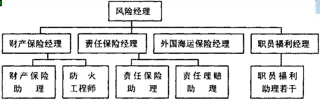 福建2011年1月自学考试00086风险管理历年考试试题及参考答案