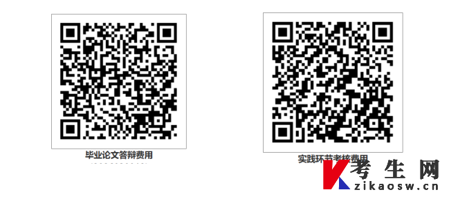 中南大学高等教育自学考试2026年上半年实践课程与毕业论文考核安排