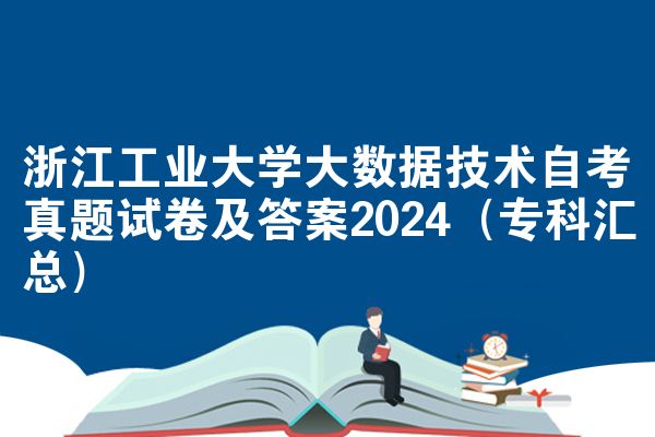 浙江工业大学大数据技术自考真题试卷及答案2024（专科汇总）