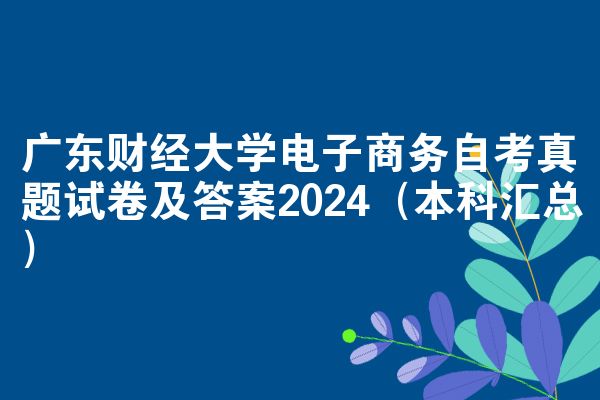 广东财经大学电子商务自考真题试卷及答案2024（本科汇总）