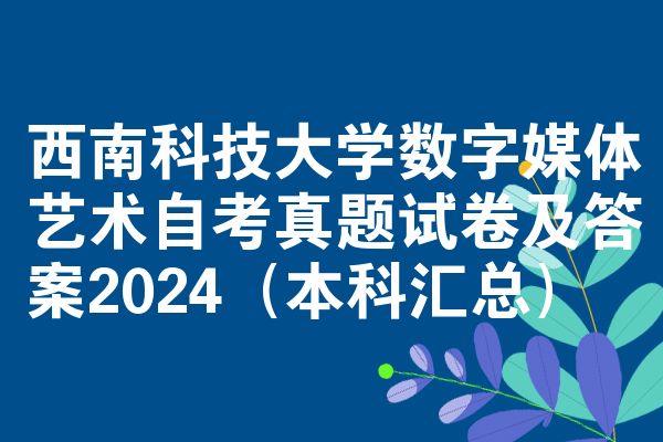西南科技大学数字媒体艺术自考真题试卷及答案2024(本科汇总)