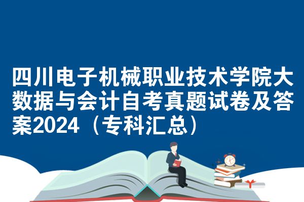 四川电子机械职业技术学院大数据与会计自考真题试卷及答案2024（专科汇总）