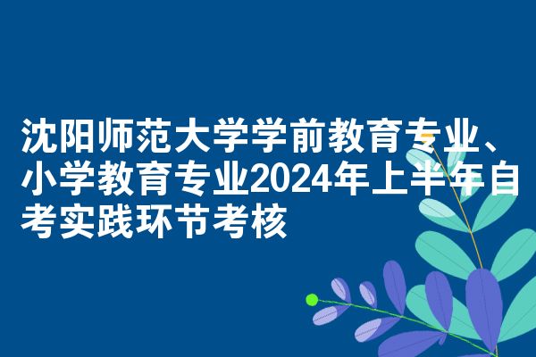沈阳师范大学学前教育专业、小学教育专业2024年上半年自考实践环节考核