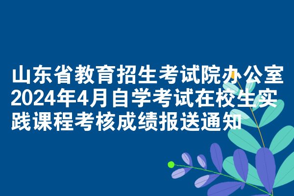 山东省教育招生考试院办公室2024年4月自学考试在校生实践课程考核成绩报送通知