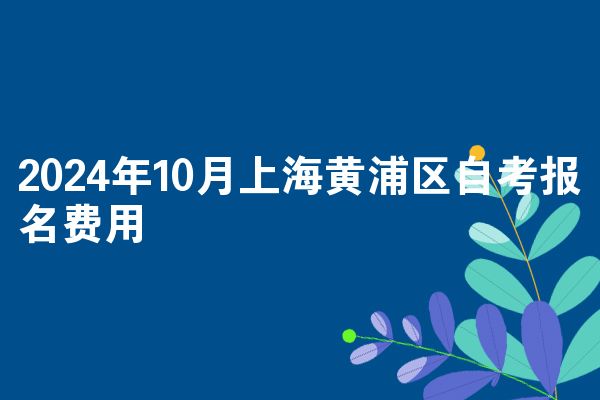 2024年10月上海黄浦区自考报名费用
