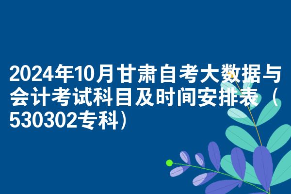 2024年10月甘肃自考大数据与会计考试科目及时间安排表（530302专科）