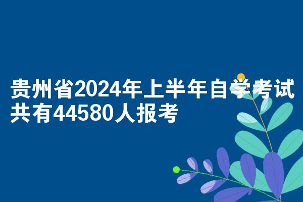 贵州省2024年上半年自学考试共有44580人报考