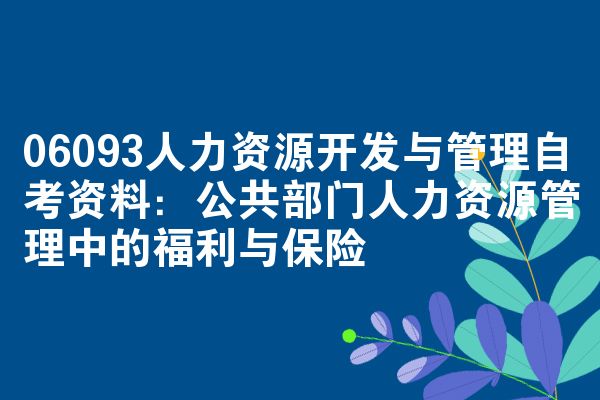 06093人力资源开发与管理自考资料:公共部门人力资源管理中的福利与保险