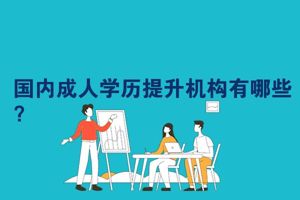 国内成人学历提升机构有哪些？