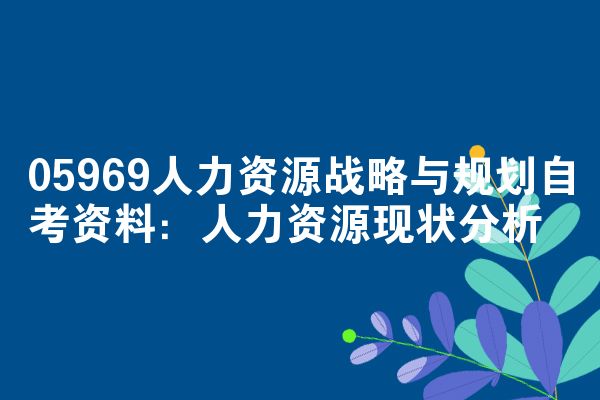05969人力资源战略与规划自考资料:人力资源现状分析