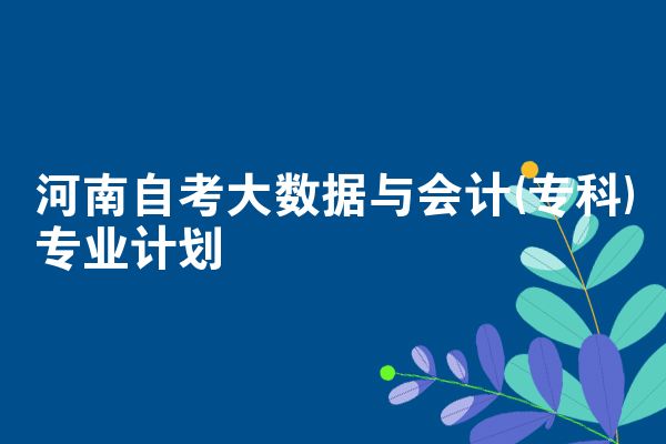 河南自考大数据与会计(专科)专业计划