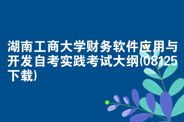 湖南工商大学财务软件应用与开发自考实践考试大纲(08125下载)