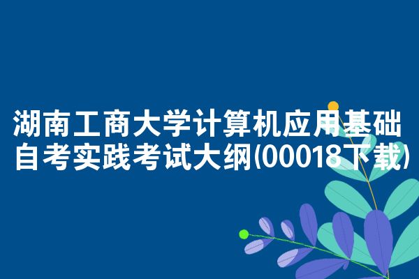 湖南工商大学计算机应用基础自考实践考试大纲(00018下载)