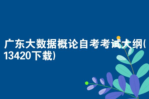 广东大数据概论自考考试大纲(13420下载)