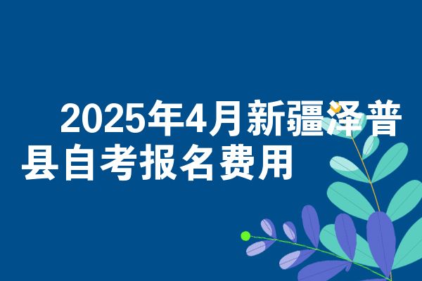 2025年4月新疆泽普县自考报名费用