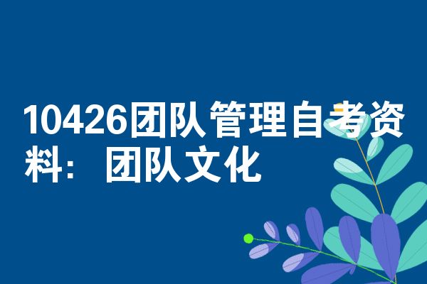 10426团队管理自考资料:团队文化