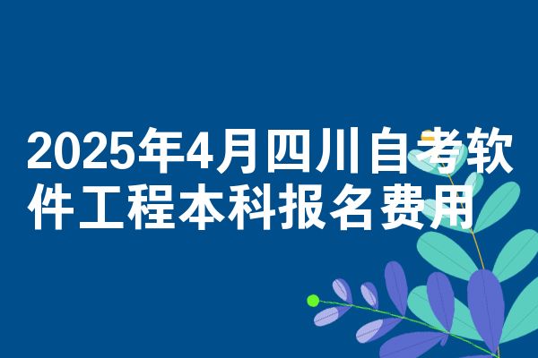 2025年4月四川自考软件工程本科报名费用