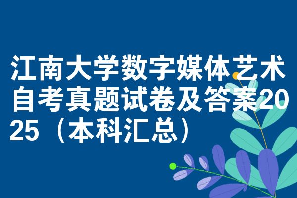 江南大学数字媒体艺术自考真题试卷及答案2025(本科汇总)