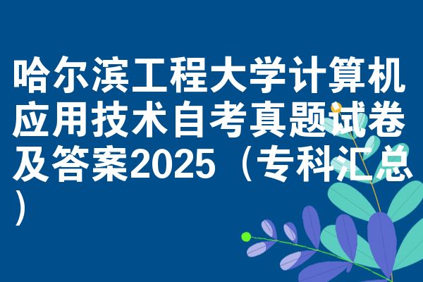 哈爾濱工程大學(xué)計(jì)算機(jī)應(yīng)用技術(shù)自考真題試卷及答案2025（專(zhuān)科匯總）