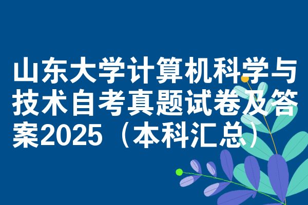 山东大学计算机科学与技术自考真题试卷及答案2025（本科汇总）