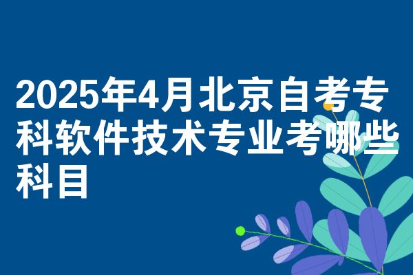 2025年4月北京自考专科软件技术专业考哪些科目