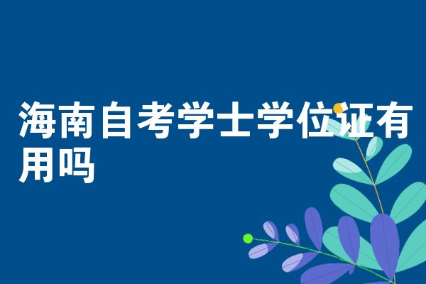 海南自考学士学位证有用吗