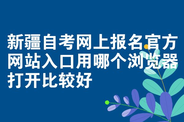 新疆自考网上报名官方网站入口用哪个浏览器打开比较好