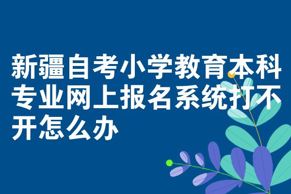 新疆自考小学教育本科专业网上报名系统打不开怎么办