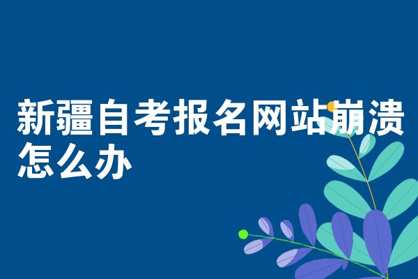新疆自考报名网站崩溃怎么办