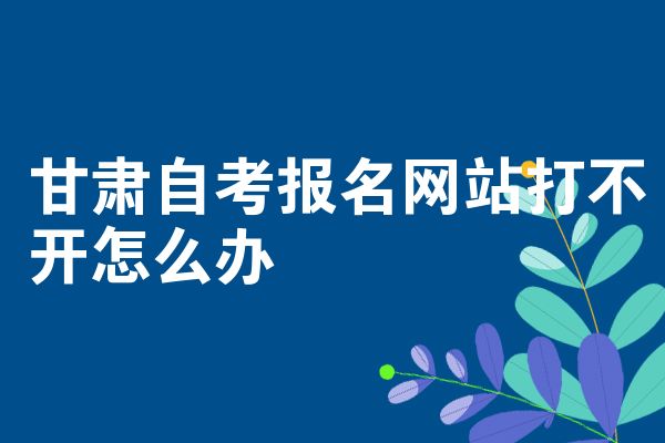 甘肃自考报名网站打不开怎么办