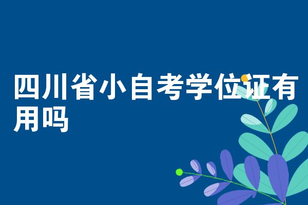 四川省小自考学位证有用吗