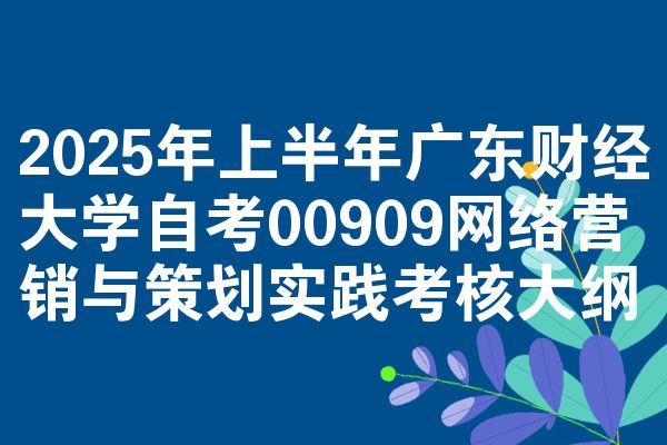 2025年上半年广东财经大学自考00909网络营销与策划实践考核大纲