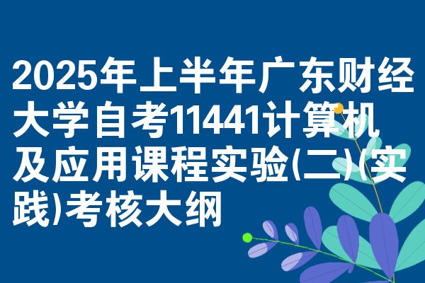 2025年上半年广东财经大学自考11441计算机及应用课程实验(二)(实践)考核大纲