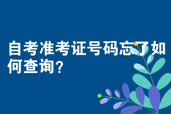 自考准考证号码忘了如何查询？