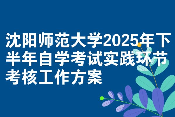 沈阳师范大学2025年下半年自学考试实践环节考核工作方案