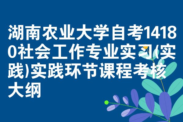 湖南农业大学自考14180社会工作专业实习(实践)实践环节课程考核大纲