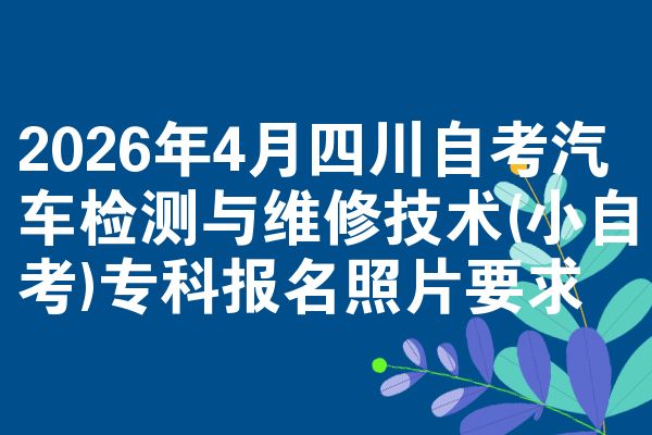 2026年4月四川自考汽车检测与维修技术(小自考)专科报名照片要求