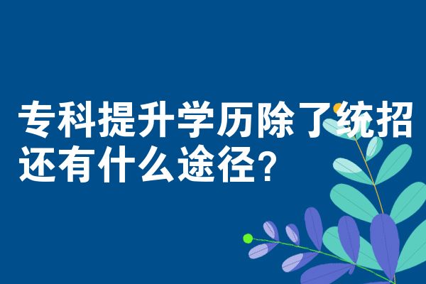 专科提升学历除了统招还有什么途径？