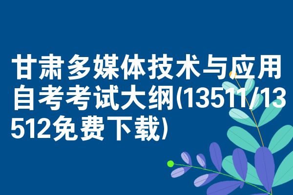 甘肃多媒体技术与应用自考考试大纲(13511/13512免费下载)