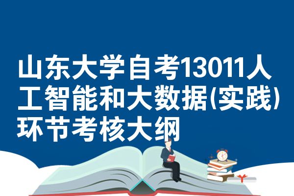 山东大学自考13011人工智能和大数据(实践)环节考核大纲