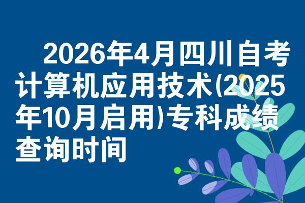 2026年4月四川自考计算机应用技术(2025年10月启用)专科成绩查询时间
