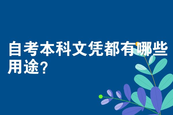 自考本科文凭都有哪些用途？
