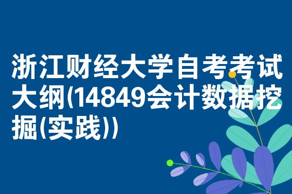 浙江财经大学自考考试大纲(14849会计数据挖掘(实践))